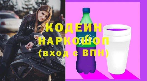 спиды Ельня