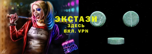 прущие грибы Елабуга