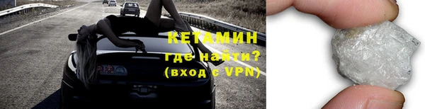 прущие грибы Елабуга