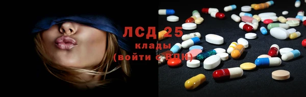 прущие грибы Елабуга