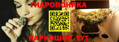 крисы Беслан