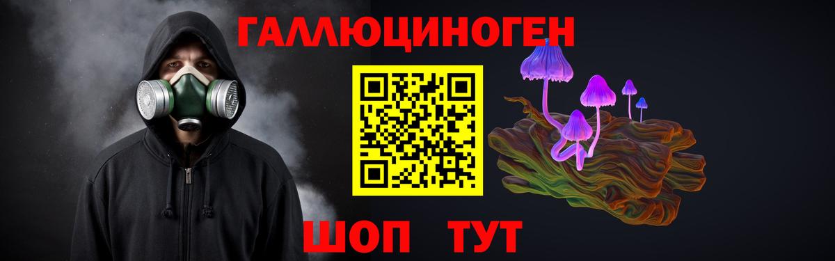 Галлюциногенные грибы Magic Shrooms  Псилоцибиновые грибы Psilocybe  Ефремов  Вход с VPN 
